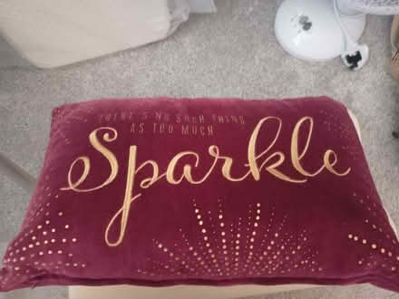 Photo of free Purple decorative pillow (Portslade) #1