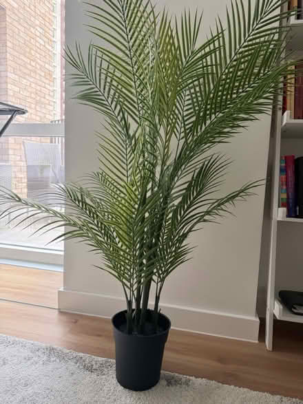 Photo of free Fake plant (CR0) #1