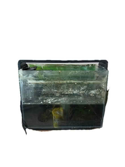 Photo of free Large Aquarium (Carshalton) #2