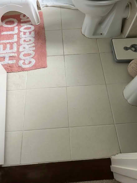 Photo of free Bathroom floor / wall tiles (Tiptree, Essex CO5) #2