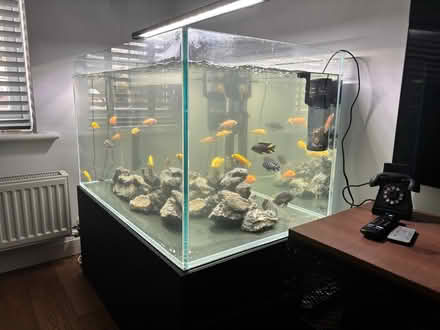 Photo of free Aquarium (Whinmoor LS14) #2