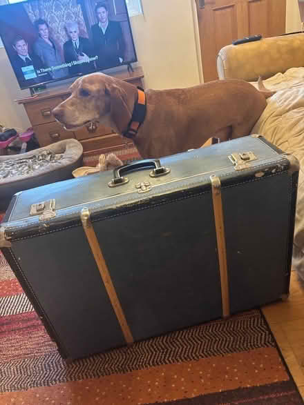 Photo of free Vintage retro suitcase (Shrivenham SN6) #1
