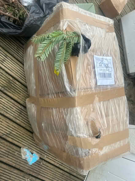 Photo of free 4 boxes, pine branches for wreaths (Leicester LE3) #1