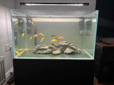 Photo of free Aquarium (Whinmoor LS14) #3