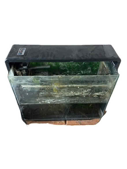 Photo of free Large Aquarium (Carshalton) #1
