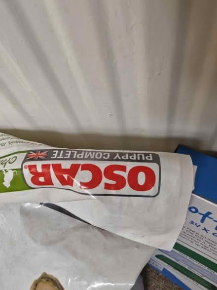 Photo of free Puppy Bundle (North Waltham RG25) #4