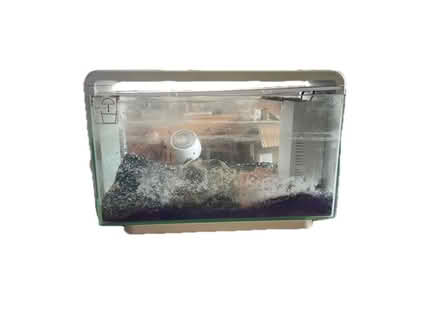 Photo of free Aquarium (Carshalton) #2