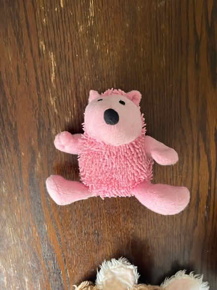 Photo of free Dog toys (Loughton Ig10) #4