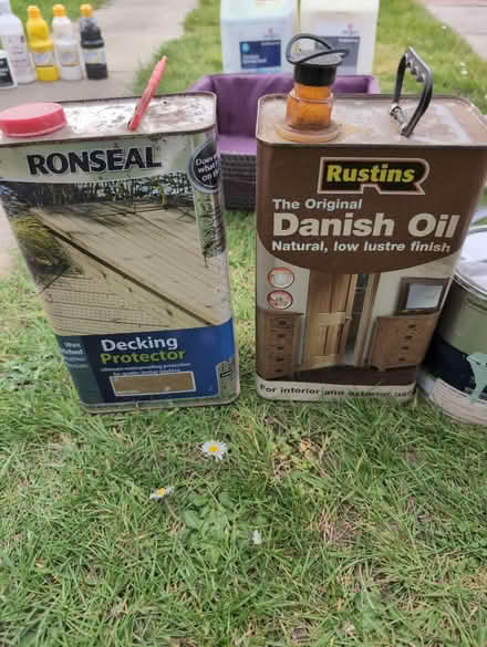 Photo of free Paints (Calcot RG31) #2