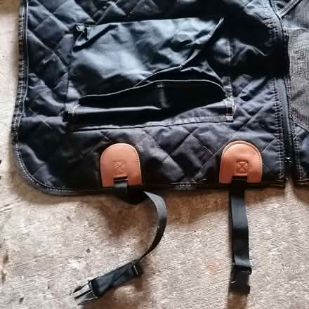 Photo of free Rear seat dog covering/seat/guard (Hollybush NP44) #2