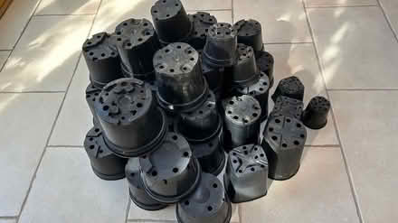 Photo of free flower-pots, black plastic (Dublin 4) #1