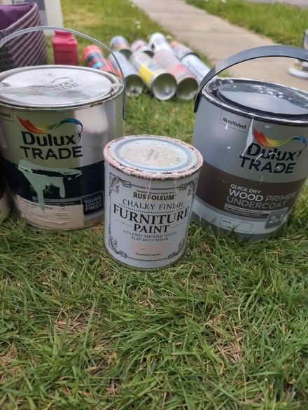 Photo of free Paints (Calcot RG31) #1