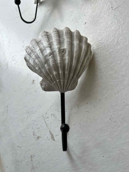 Photo of free shell hooks (Hyde Park LS6) #4