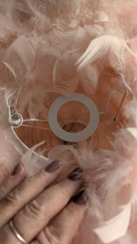 Photo of free Large pink feather lamp shade (Montgomery Lines GU11) #2