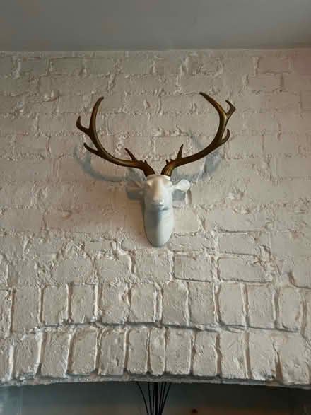 Photo of free Plastic ornamental deer head (Queens Park) #2