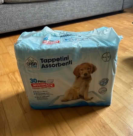 Photo of free Dog absorbent pads (Plaistow E139LX) #1