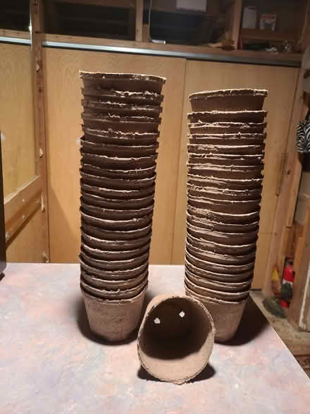 Photo of free 5" Peat Pots (Montlake) #1