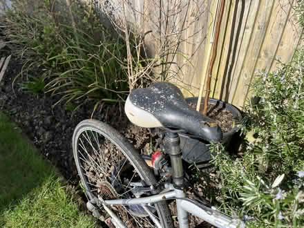 Photo of free Pair of Bicycles- in need of attention. (Haywards Heath RH16) #3