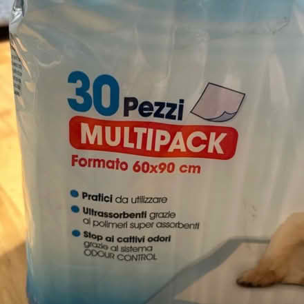Photo of free Dog absorbent pads (Plaistow E139LX) #3