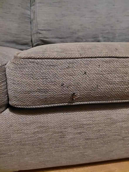 Photo of free Sofa bed (SP11 Upper clatford) #4