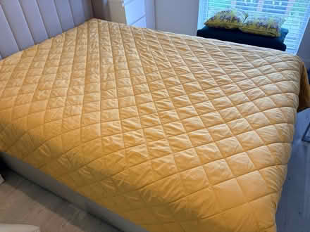 Photo of free Yellow Bedspread (BN1) #1