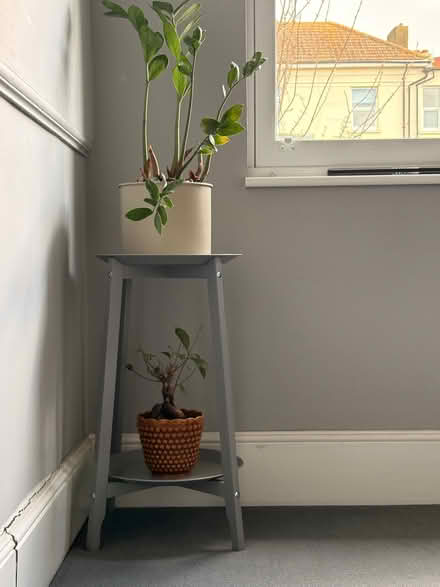Photo of free IKEA Alpvide Plant Stand (St Leonards TN38) #1