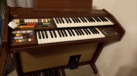 Photo of free Electric organ and bench (Woodstock OX20) #1
