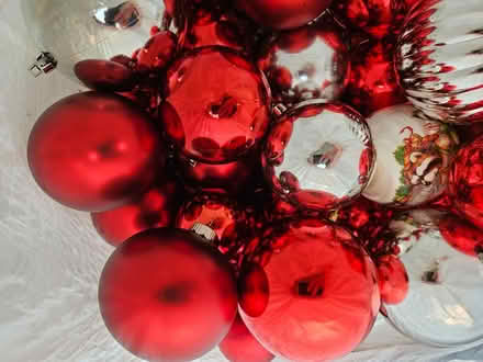 Photo of free Christmas decorations (Near the experimental farm) #2