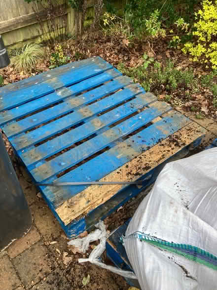 Photo of free Wooden pallets (Hordle SO41) #1
