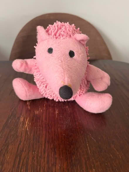 Photo of free Dog toys (Loughton Ig10) #2