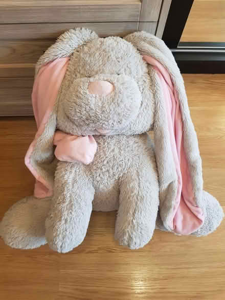 Photo of free Used fluffy toy (TW74, Isleworth) #1