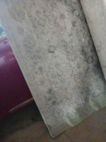 Photo of free Rug (Huntington beach east) #1