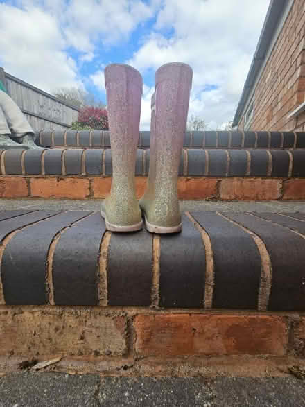 Photo of free Next Glitter Wellies (Hall green B28) #2