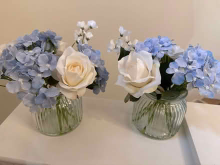 Photo of free Fake plants (BS15) #1