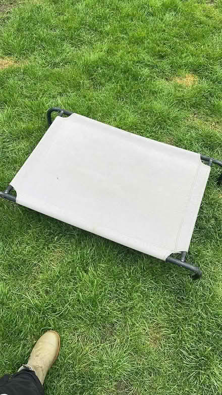 Photo of dog bed (Clayton Green PR6) #1