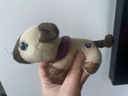 Photo of free The Cat Collection Plush Toys (Macclesfield SK10) #2