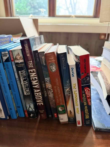 Photo of free Books for Preteens (Campton Hills) #3