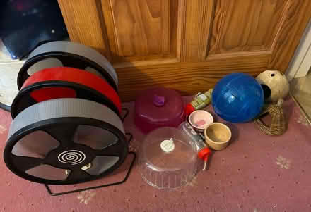 Photo of free Hamster accessories (Chippenham SN15) #1