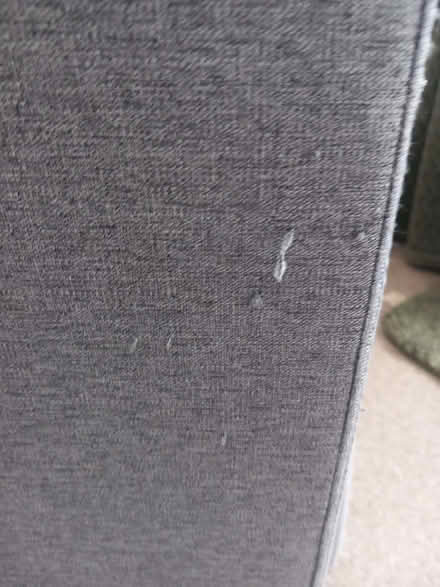 Photo of free Single Sofabed (Aspley NG8) #4