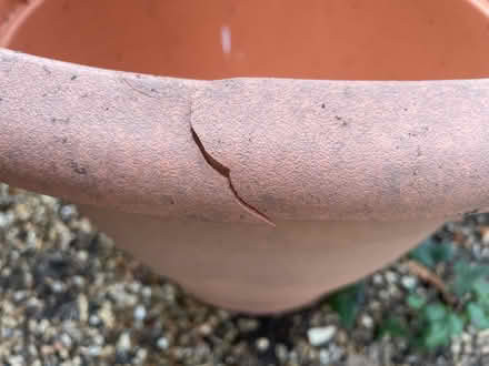 Photo of free Huge plastic garden plant pot (Garston WD25) #3