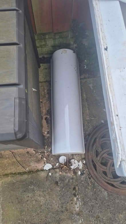 Photo of free Bathroom suite (Derby Chaddesden DE21) #2