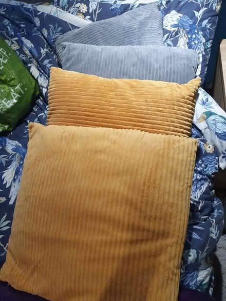 Photo of free 4x cushions - 2 yellow, 2 grey (Westbury BA13) #1