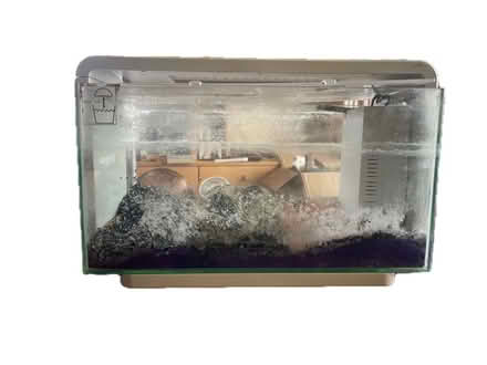 Photo of free Aquarium (Carshalton) #1