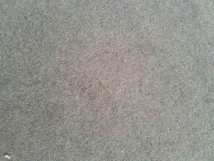Photo of free Large piece of light grey carpet 330x254 (Grassmarket EH1) #2