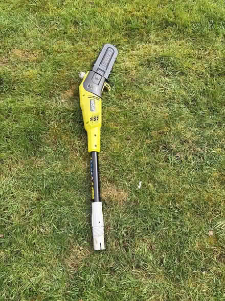 Photo of free Roybi (NN3 Meadowfields) #2