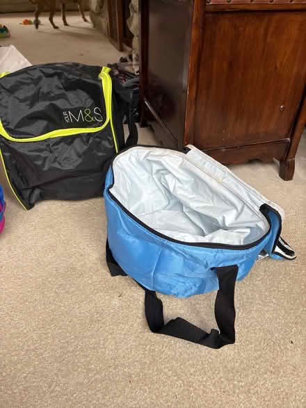 Photo of free Insulated picnic /shopping bags (Crowborough Warren TN6) #1