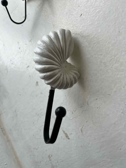 Photo of free shell hooks (Hyde Park LS6) #3