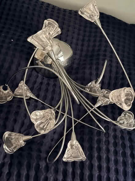 Photo of free Ceiling light (Barnes SW13) #1