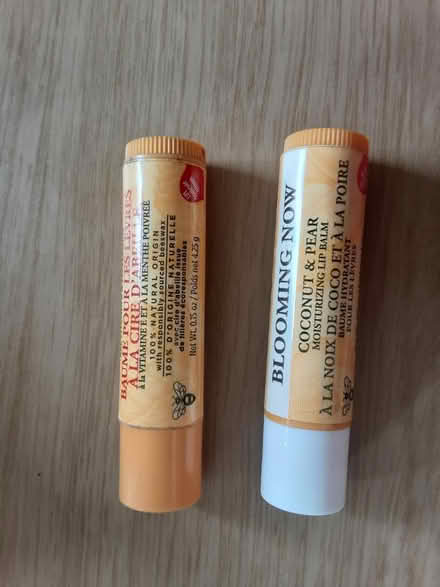 Photo of free Burts bees Lip balms (Morningside) #2
