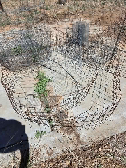 Photo of free Scraps of fencing wire (SE Santa Fe Sol y Lomas) #2